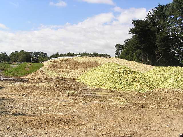NZ leden-unor 2006 135.jpg